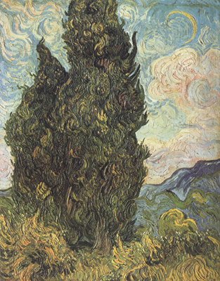 Cypresses (nn04)